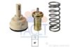 FACET 7.8788S Thermostat, coolant
